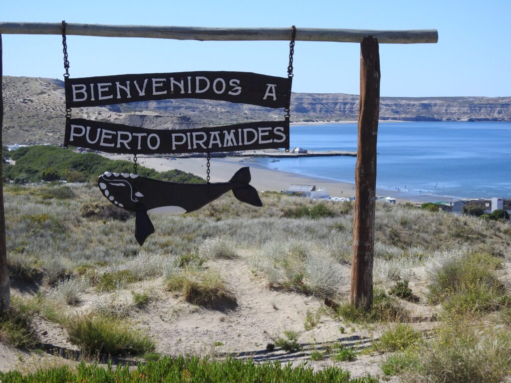BELLESES D’ARGENTINA